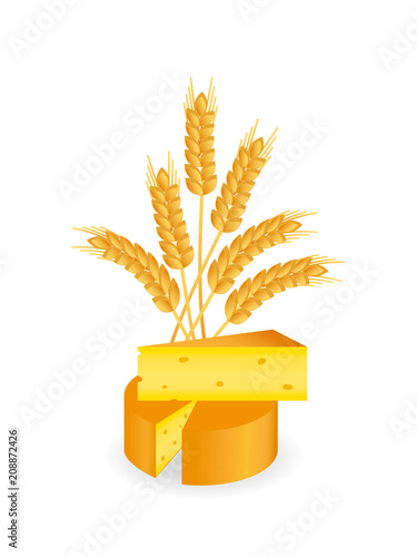 Cheese wheel, slice of cheese and wheat ears