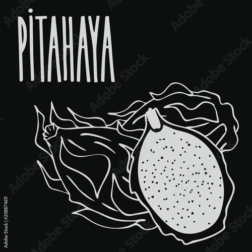 Isolate ripe pitaya or pitahaya as chalk on blackboard. Close up clipart in chalkboard style. Hand drawn icon