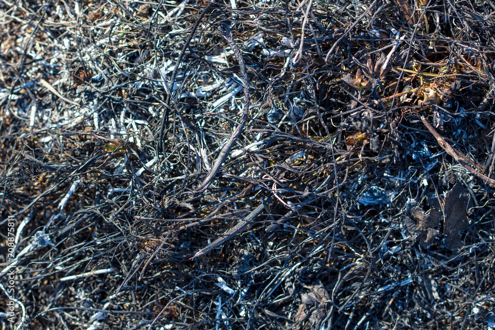 Black burned grass on the ground as an abstract background Black burned grass on the ground as an abstract background