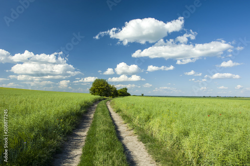 Green fields and the way up the hill