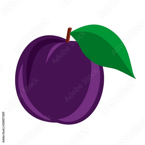 Wallpaper Mural Vector illustration icon of a plum