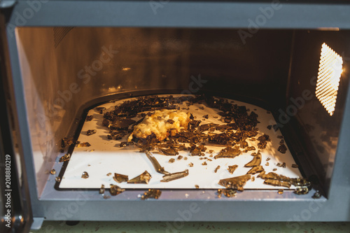 Shards of  glass plate in microwave oven