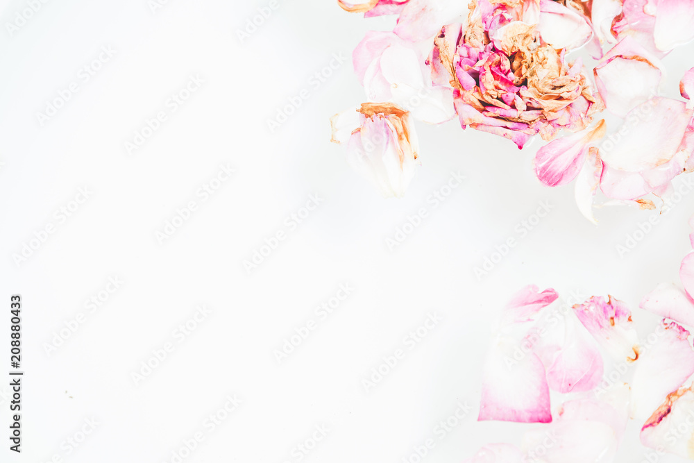 Romantic abstraction. Petals of withered roses on white background