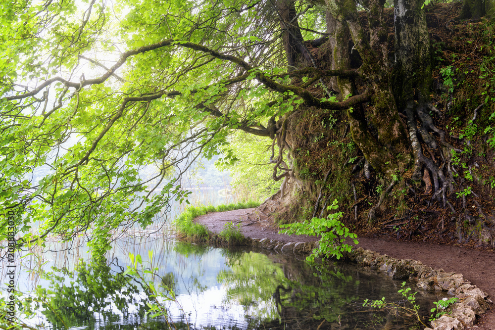 Fototapeta premium Calm scene on the lake