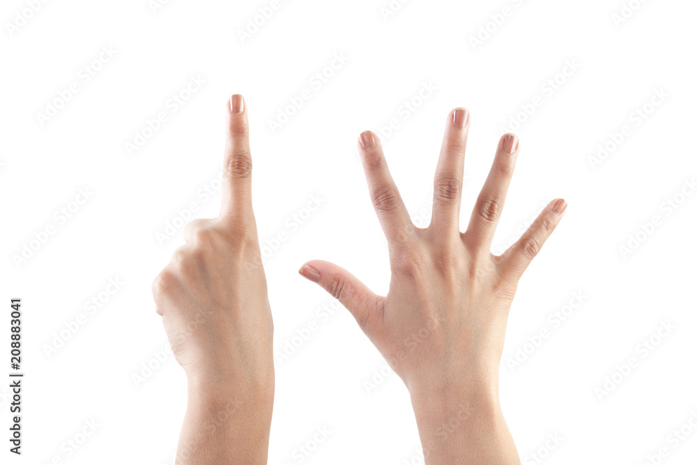 Right hand shown as number Six from back isolated on white background. Right hand shown as number Six from back isolated on white background.