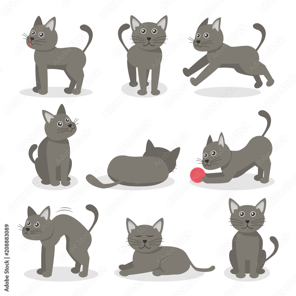Cartoon Characters Tabby Cat Set. Vector