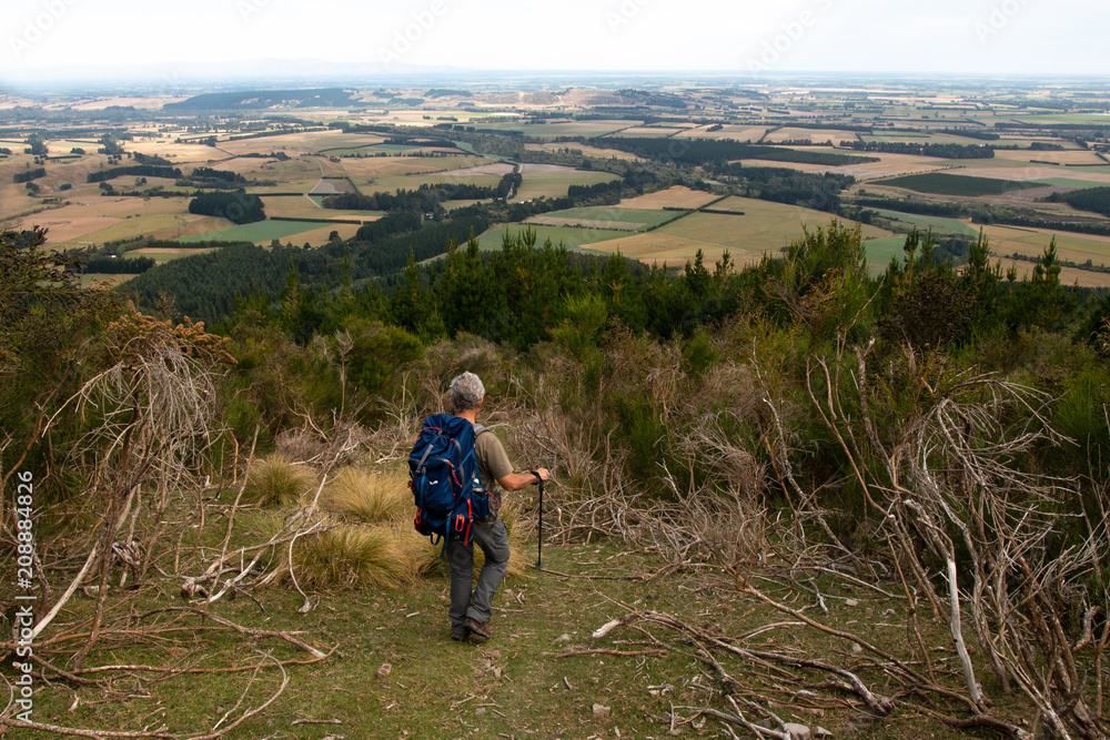 Tourist looks from a hill at Canterbury plains