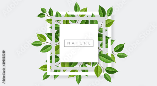 Geometric nature frame with tree branches and leaves. Vector illustration for nature related and eco design