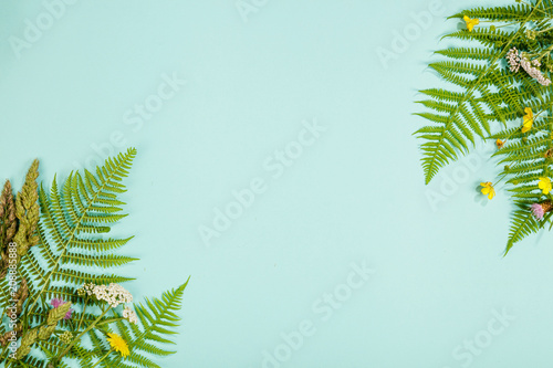 Wild and Healing herbs concept photo