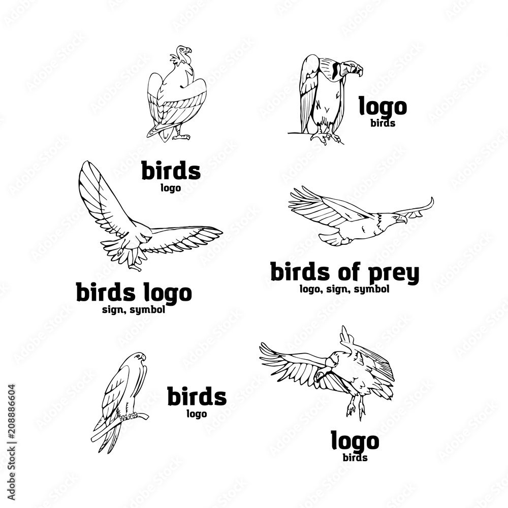 Fototapeta premium Hand-drawn pencil graphics. Birds of prey set.