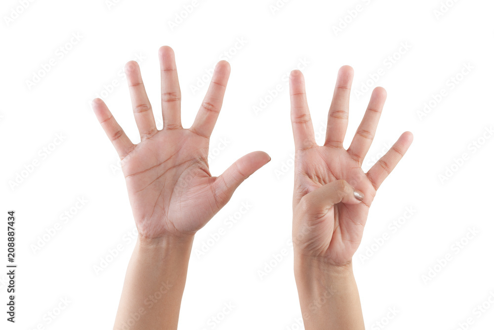 Right hand shown as number Nine from front isolated on white background. Right hand shown as number Nine from front isolated on white background.