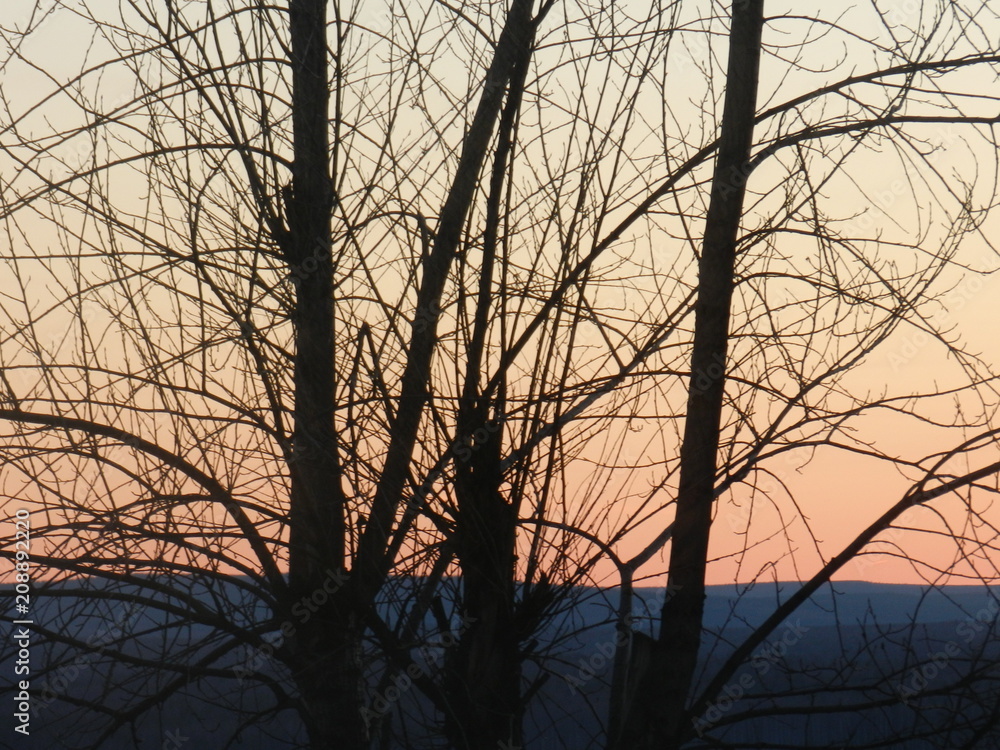 Fototapeta premium nature wakes up after winter