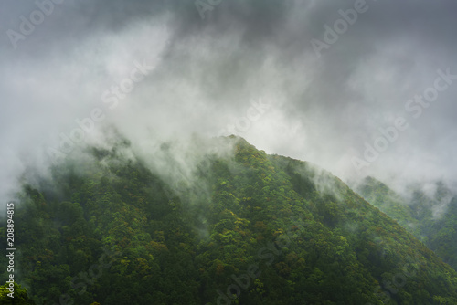 Beautiful mountain covering with fog in Wakayama Prefecture , Japan