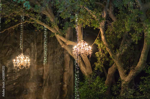 фотографія Chandeliers and lights hanging from trees in the woods