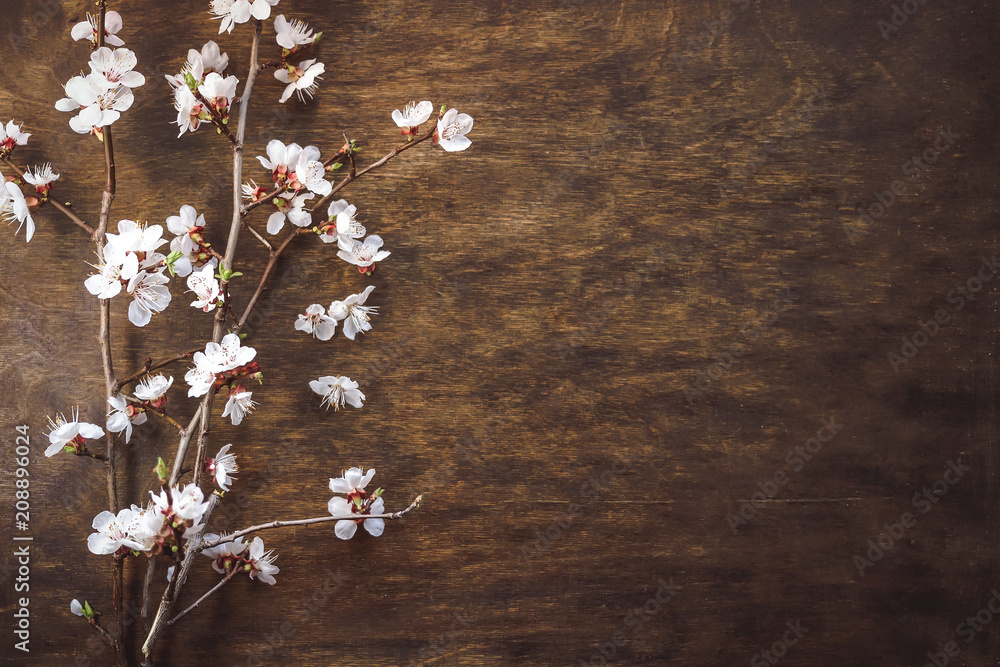 flowering branch of fruit tree. wooden background. flowering branch of fruit tree. wooden background.