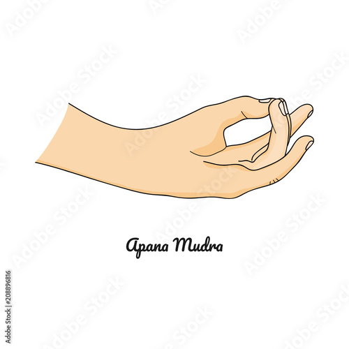 Apana Mudra / Gesture of Life Force. Vector.