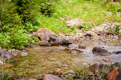 A mountain stream. A slow flowing river among stones in the mountains