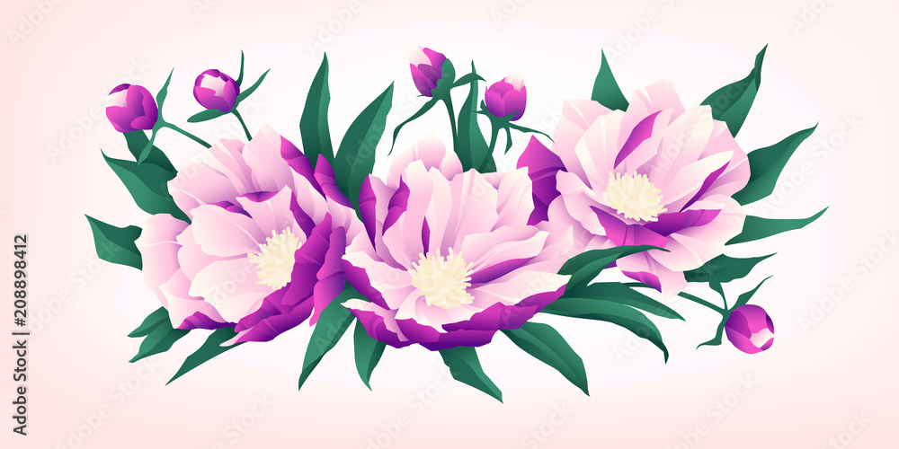 Composition of pink peony flowers