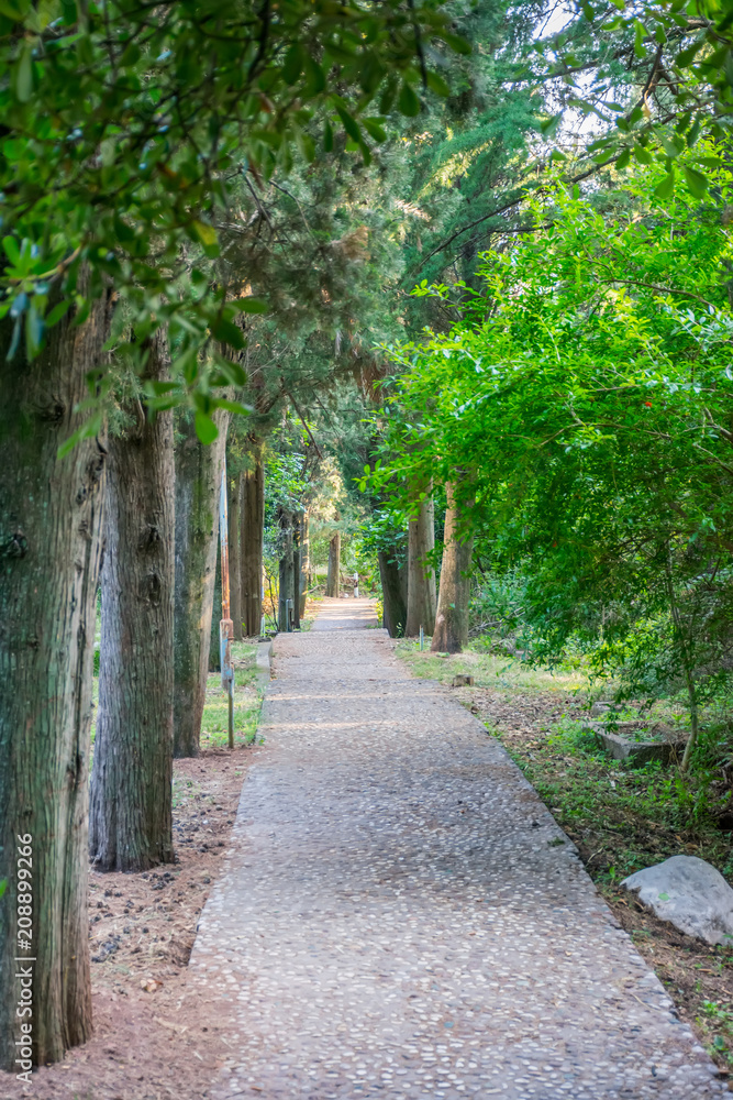 A long stone walkway in a deserted park.