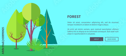 Forest Vector Web Banner with Trees and Bushes