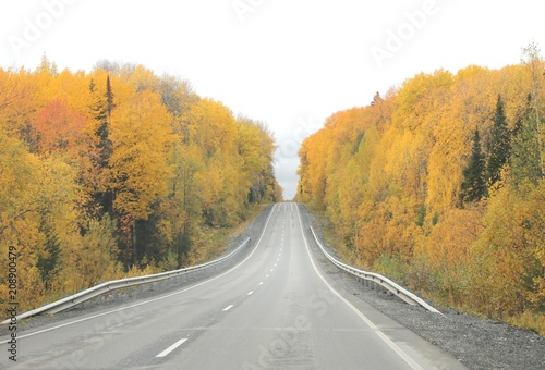 Дорога в осень © Анна Занькова
