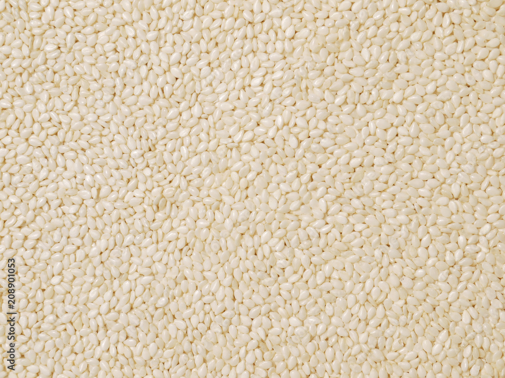 White sesame seeds background White sesame seeds background