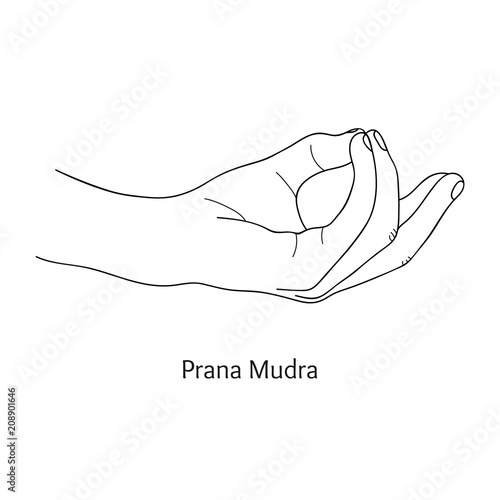 Pran Mudra / Gesture of Life. Vector. photo