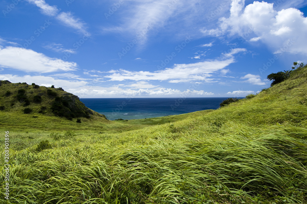 夏の海と草原 Stock Photo | Adobe Stock