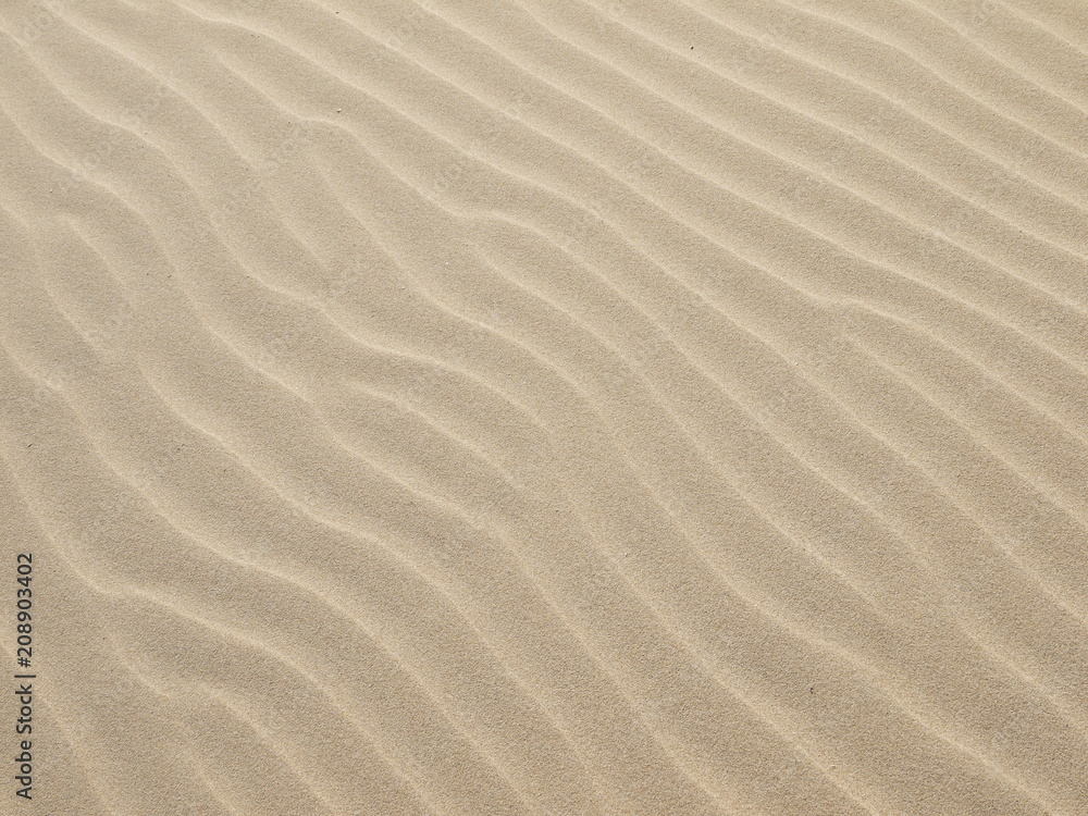 Sand texture.Dented wave of the blow of the wind Sand texture.Dented wave of the blow of the wind