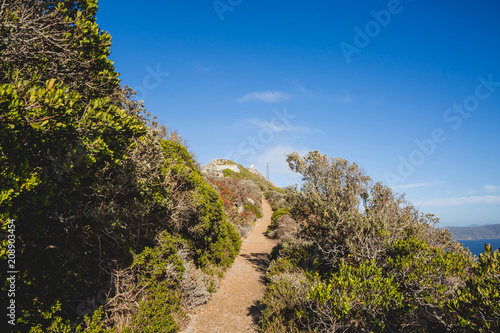 Pathway to Cape Point lighthouse with blue sky and greenery