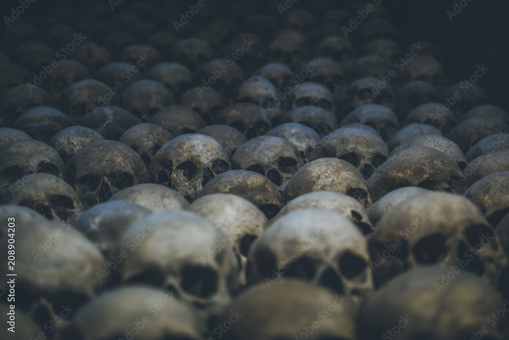 Obraz premium Collection of skulls covered with spider web and dust in the catacombs. Rows of creepy skulls in the dark. Abstract concept symbolizing death, terror, and evil.