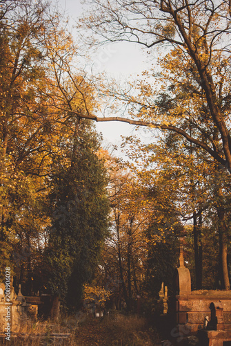 Beautiful monuments, gravestones, and tombstones of the cemetery covered with twilight.