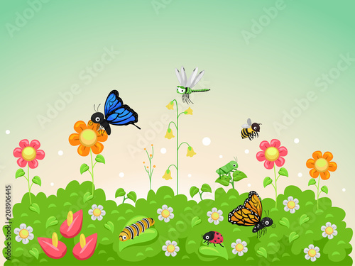 Garden Insects Illustration