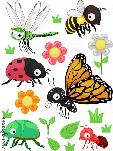 Insects Flowers Elements Il...