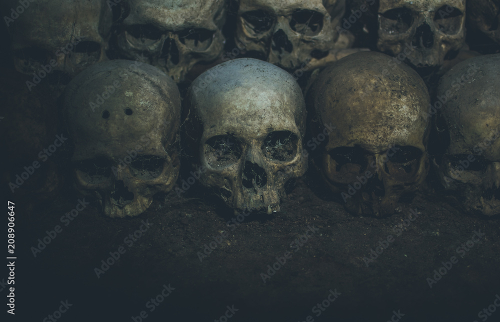 Collection of skulls covered with spider web and dust in the catacombs. Numerous creepy skulls in the dark. Collection of skulls covered with spider web and dust in the catacombs. Numerous creepy skulls in the dark.