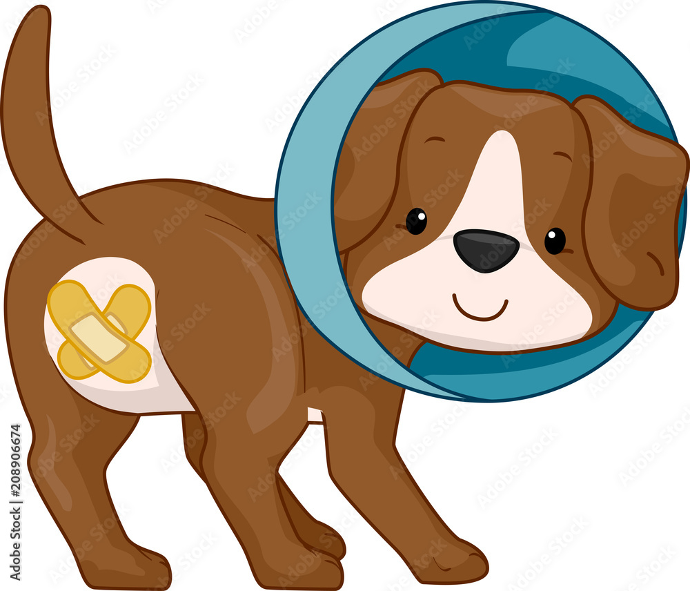 Fototapeta premium Dog Neuter Illustration