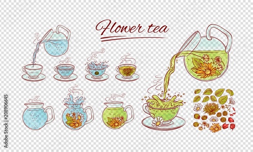 Vector herbal flowers tea constructor brew process. Make and pour in transparent cup hot aromatic drink with blossoming tea leaves. Sketch set collection hand drawn illustration.