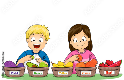 Kids Sort Fruits Basket Color Illustration