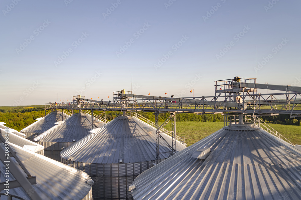 Grain storage tanks on sunset. Agricultural background.