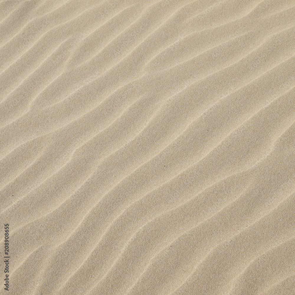 Sand texture.Dented wave of the blow of the wind Sand texture.Dented wave of the blow of the wind