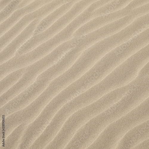 Sand texture.Dented wave of the blow of the wind