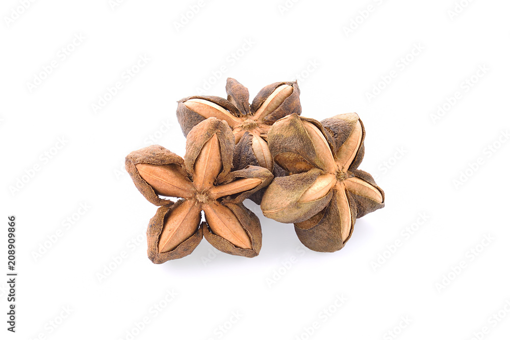 Incas, inchah peanut seed sacha isolated on white background Incas, inchah peanut seed sacha isolated on white background