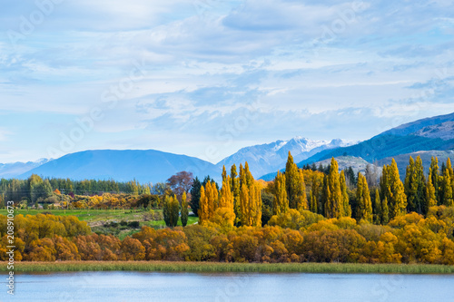 Beautiful landscape of autumn trees with lake and mountain in the cloudy day.