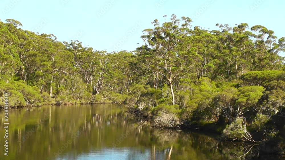 The Denmark River flows through indigenous forest near the town of Denmark in Western Australia. The Denmark River flows through indigenous forest near the town of Denmark in Western Australia.