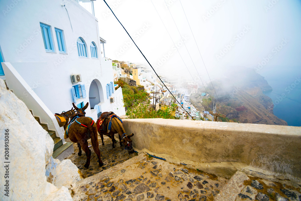 Ânes, ville de Fira, île de Santorin, Cyclades, Grèce