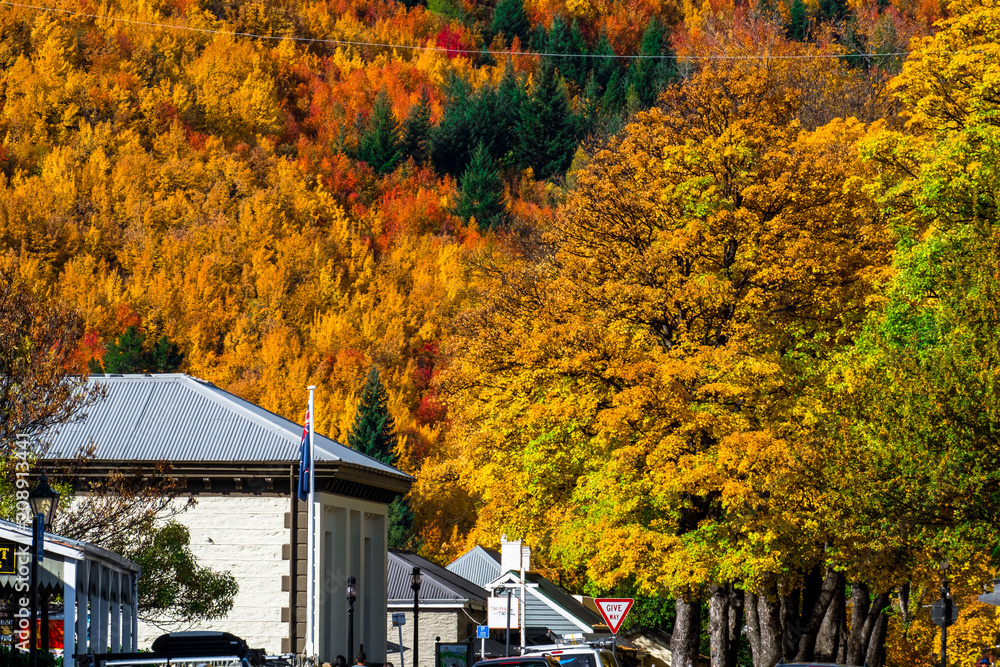 Arrowtown in autumn with colorful trees in the beautiful day.. Arrowtown in autumn with colorful trees in the beautiful day..