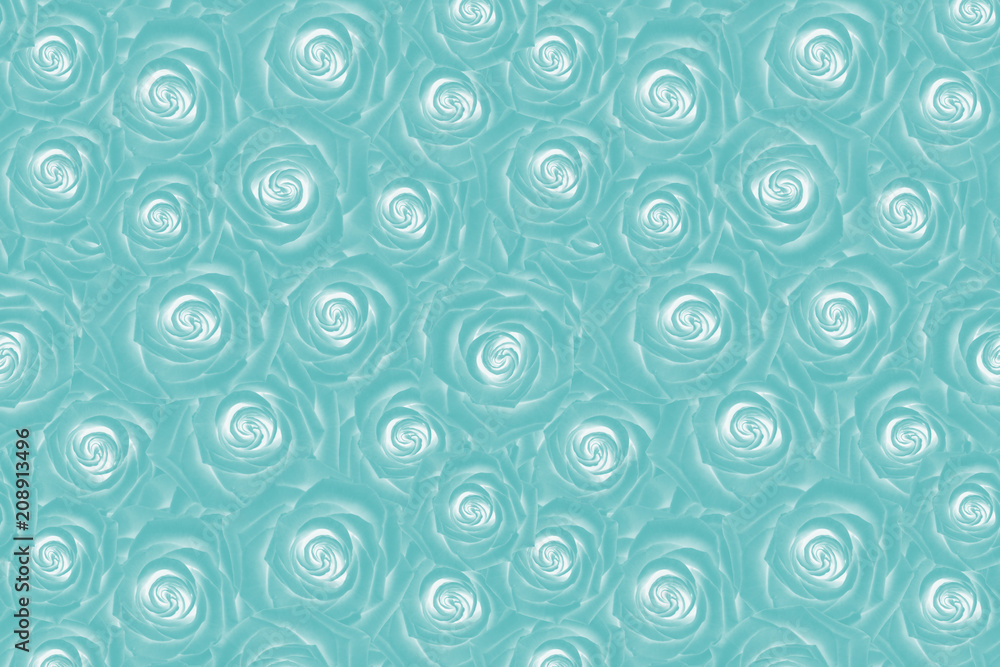 Blue roses background. Abstract flowers backdrop