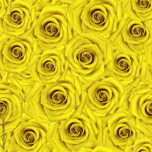 Seamless yellow roses background. Abstract flowers backdrop