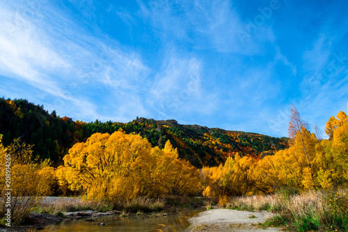 Arrowtown in autumn with colorful trees in the beautiful day..