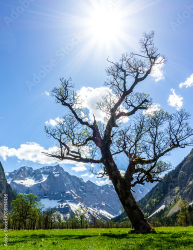 karwendel mountains photo